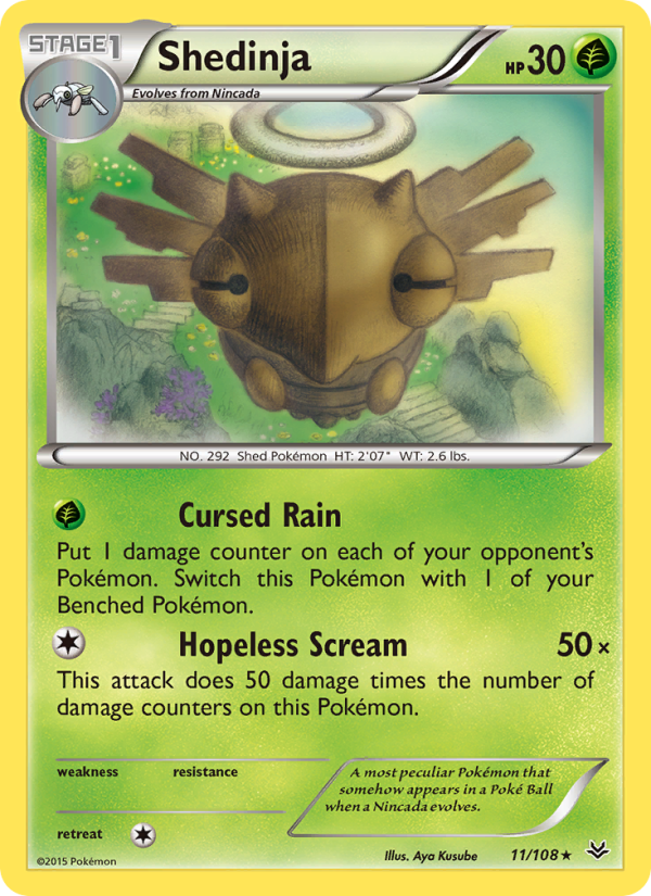 xy6-11